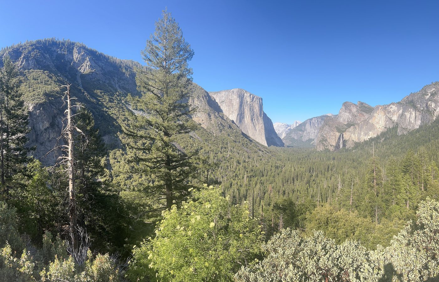 Yosemite Valley from Tunnel View